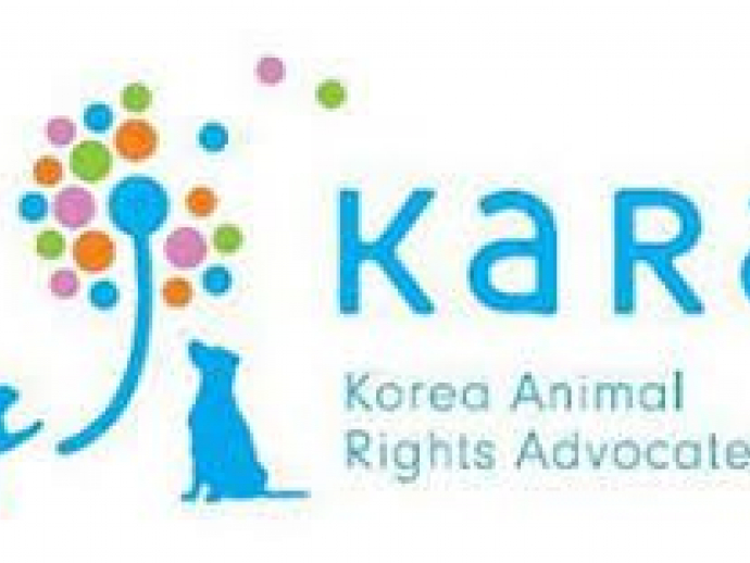 Korea Animal Rights Advocates (KARA), KOREA, Seoul | Expat Kids Korea: For  Children and Families in Seoul Korea